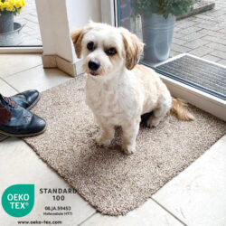schmutzfangmatte-cotton-clean-oeko-tex
